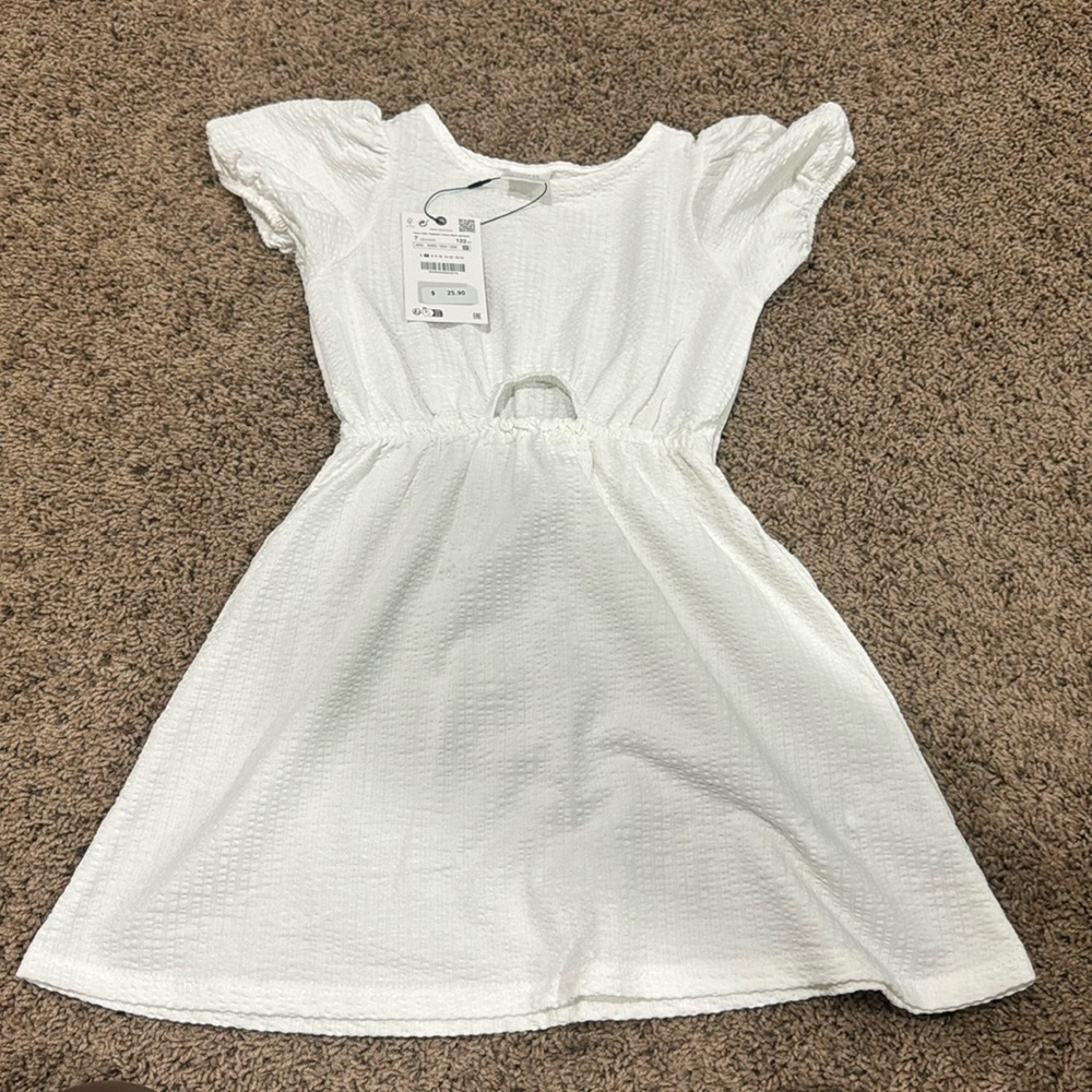 NWT Zara dress